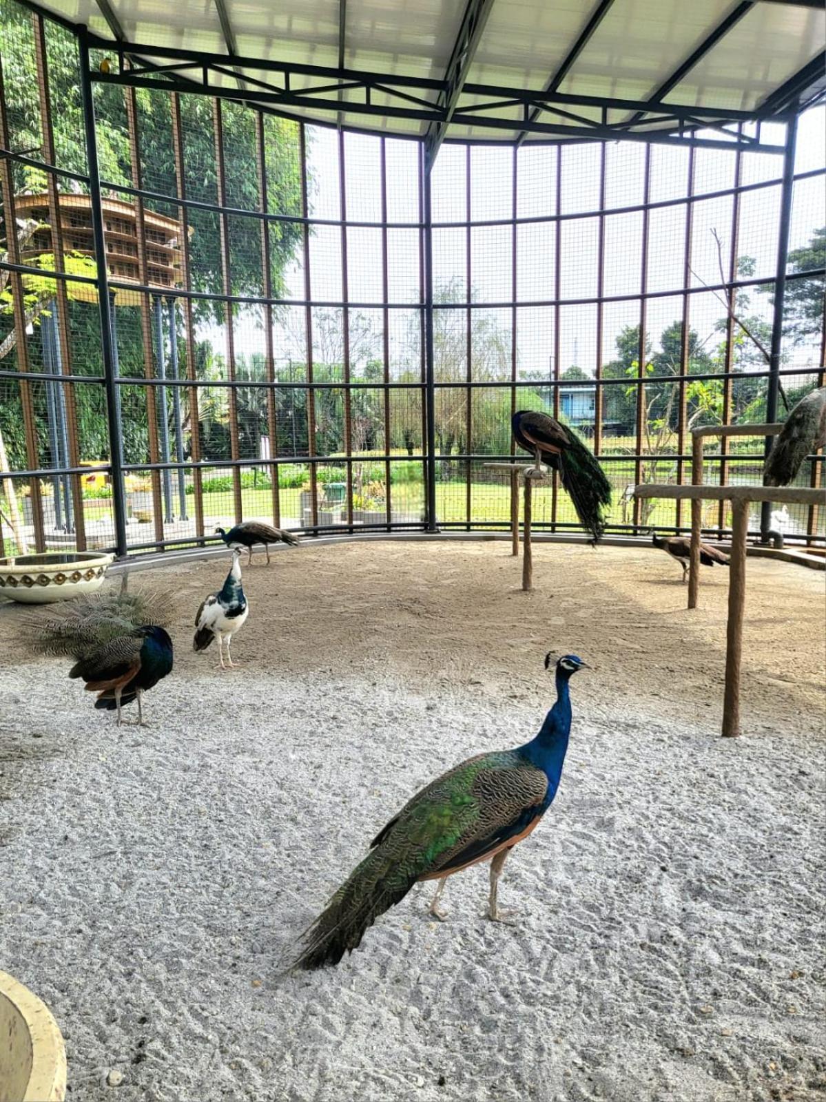 Villa Vimala Hills Semeru Μπογκόρ Εξωτερικό φωτογραφία